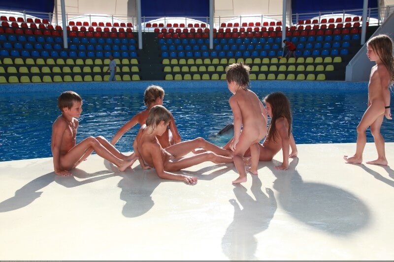 Swimming dolphins photo gallery - Nudity helps one better understand oneself and ones feelings