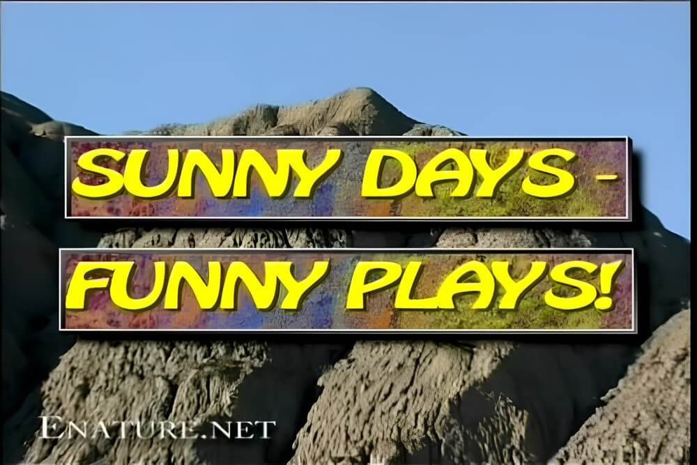 Enature - Sunny Days – Funny Plays - Nudity helps one better understand oneself and the surrounding world
