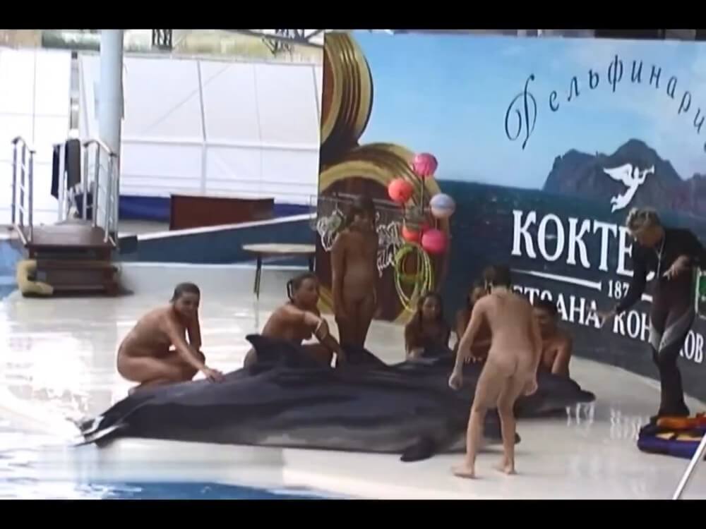 Relaxing at the dolphinarium - Spectators are permitted to be naked