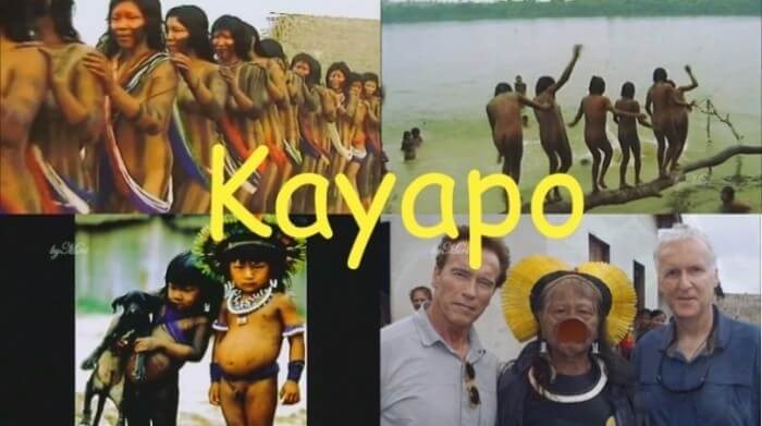 Kayapo - Tribes of Latin America - Core values and goals of nudist clubs and organizations